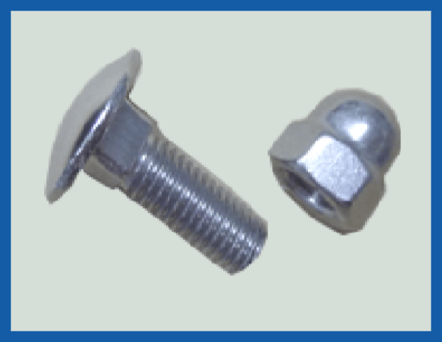 CARRIAGE BOLT & CAP NUT (STAINLESS STEEL 304)